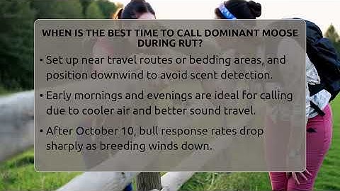 When Is The Best Time To Call Dominant Moose During Rut? - The Marksman