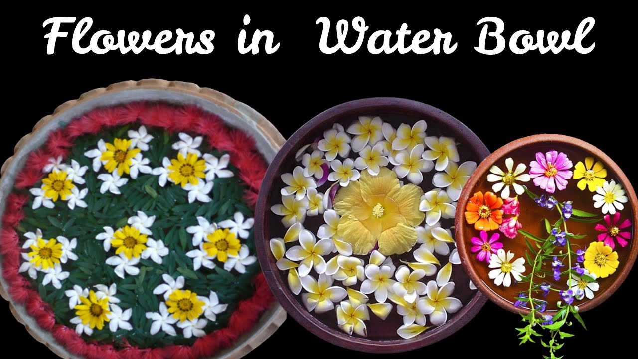 Water Bowl Flower Decoration Ideas DIY Water Bowl Flower Decoration YouTube