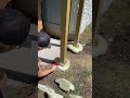 Expanding foam for fence posts would you try this product shorts