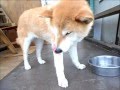 3013年の法律