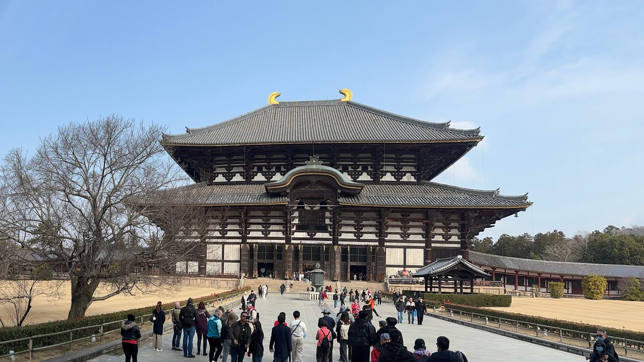 ⁣The Tōdai-ji located in Nara Japan UNESCO Heritage the world's largest bronze statue of the Buddha.
