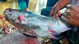 Giant Rita Fish Expert Cutting In Fish Market Asian Fish Cutting Skills