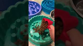 Open farm raw mix kibble restock ASMR . #shorts #short #asmr #dog