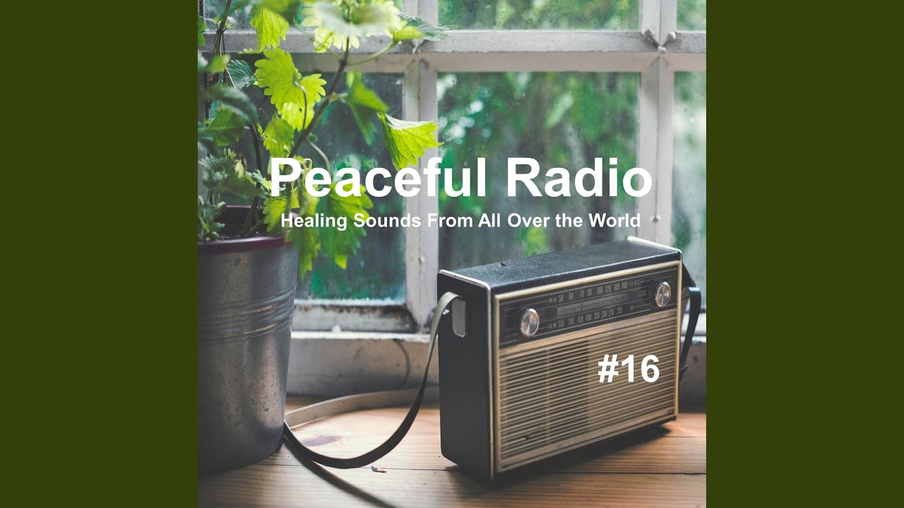 Peaceful Radio 16 - 1 Hour of Soothing Tap Water (Newborn, Sleeping, Relieving Insomnia, White...