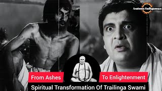 Download Lagu Trilinga Swami: The Life Event That Led to His Spiritual Transformation| Ashes to Enlightenment MP3