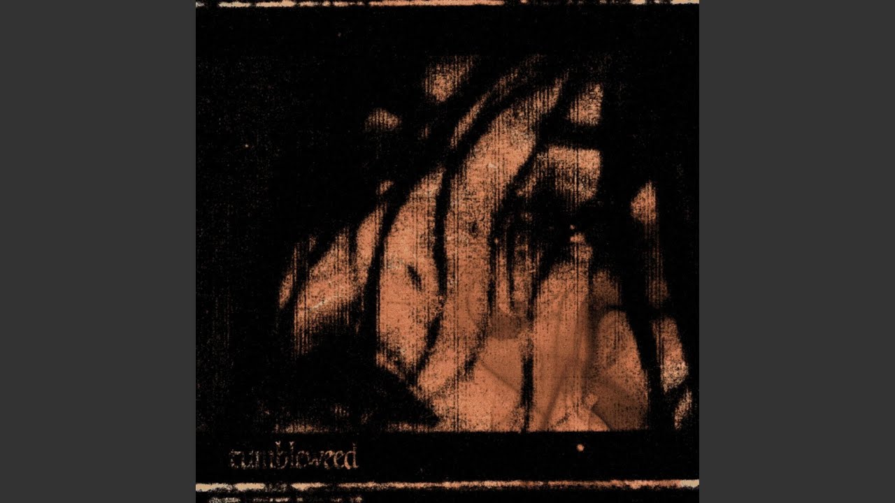 if you wanted to you would (bonus)