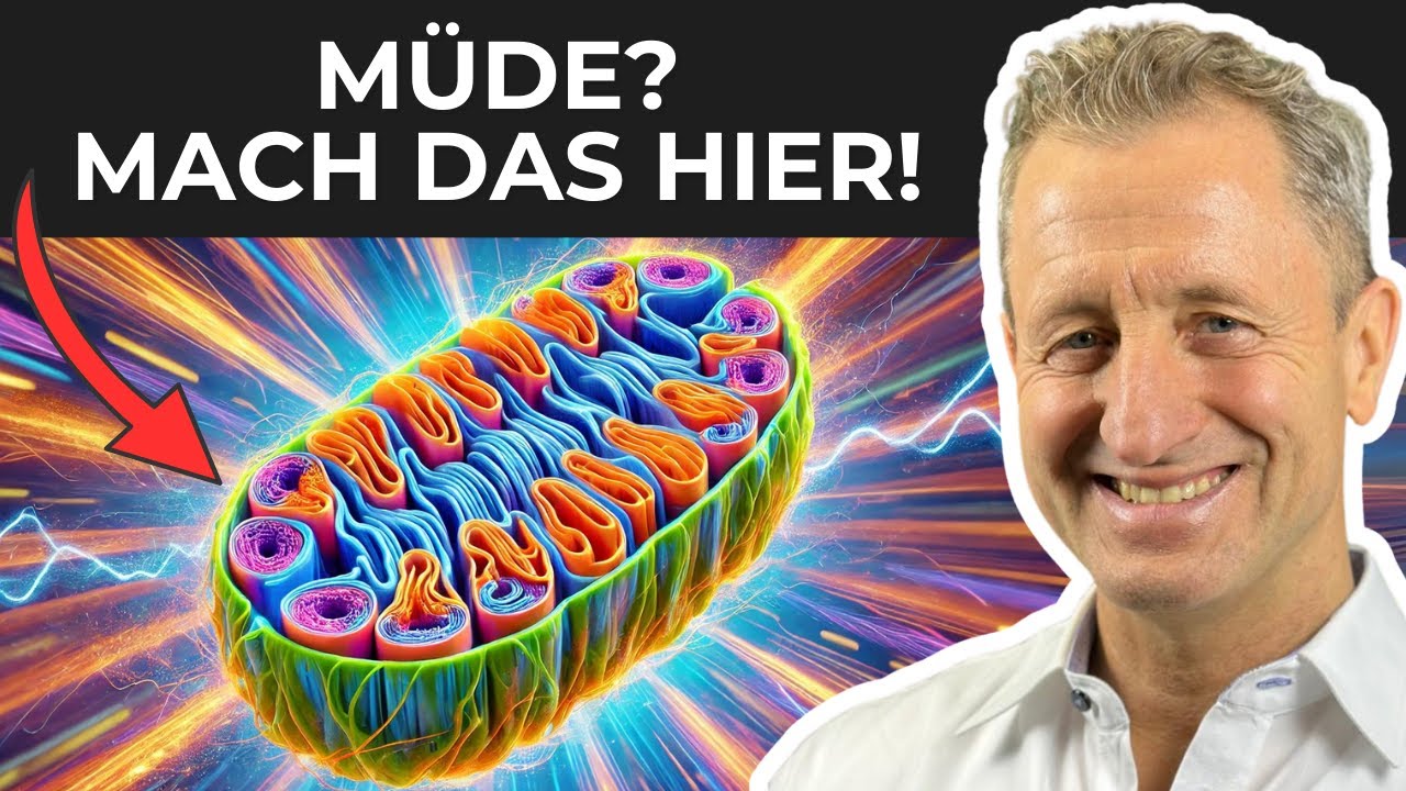 Mitochondrien-Hack: Der geheime STOFFWECHSEL-BOOST gegen Müdigkeit & Gewichtszunahme!