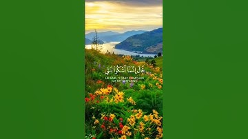 تلاوة هادئة خاشعة لراحة قلبك 🥺❤️