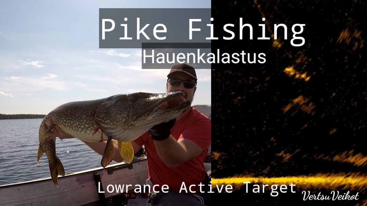 Hauen täsmäkalastusta Lowrance Active Targetilla | Pike Pelagic Sharpshooting with Active Target