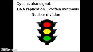 VIDEO SCREENCAST BIo. 1 Ch. 9 (part 2) Cellular Reproduction