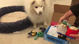 Barkbox Unboxing Review December 2017