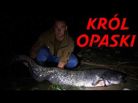 How to fish for ZANDER at NIGHT with WOBBLERS? / ep. 261