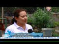 Huertos familiares en el Distrito 7