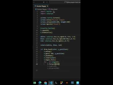 Russian Flag graphics in python turtle | Awesome python turtle graphics ...
