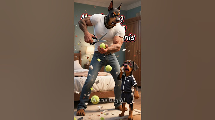 The cute puppy just wants to play tennis, but Mum and Dad... 🤣😱#dog #cute #puppy #cancer #animals
