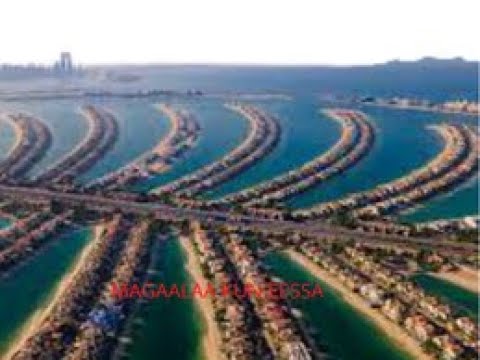 Seenaa Guddinaa Fi Jijjirama Magaalaa Dubaay