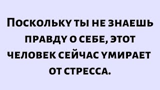 :     ||       - . || #