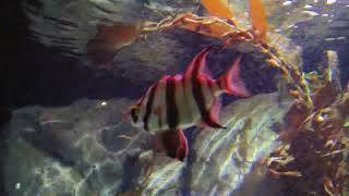 video 20240108 161454