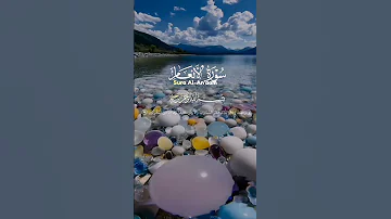 القارئ السيد سعيد 