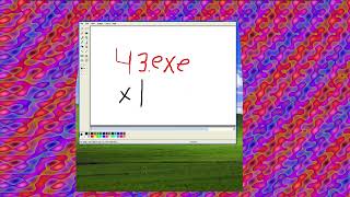 43.exe