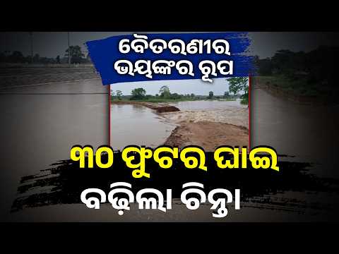 କାଣୀ ନଦୀରେ ୩୦ ଫୁଟର ଘାଇ, ଚାଷଜମିରେ ମାଡ଼ିଗଲା ବନ୍ୟାଜଳ #knewsodisha