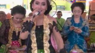 Kartika Raras Cokek Dangdut Ireng Manis  Plosorejo New Putra Sumber Sound System
