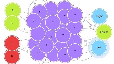 Fun with Markov Network Brains