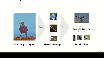 XAI4CV 2025: Data-Eﬃcient Visual Concept Bottleneck Models