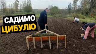 картинка: Життя в селі. Посадка цибулі та часнику на зиму. Наший спосіб 