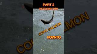 Cowlitz River,The Net Job, Catching Fish, Short2,Coho Salmon River Fishing