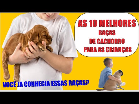 Vídeo: 20+ raças de cães que são predispostas a infecções de ouvido