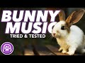 Music for rabbits  instantly soothe anxious rabbits tested 