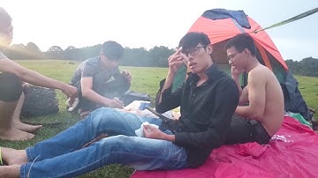 ĐÀ LẠT CHILL | Camping Tại Cây Thông Cô Đơn