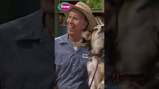 BINGO was his name-0! 🐶 Songs for Kids