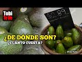 AGUACATE 🥑: ¿DE DÓNDE VIENE Y CUÁL ES SU COSTO DE LA PALTA EN MIAMI? | Tobi Te Ve
