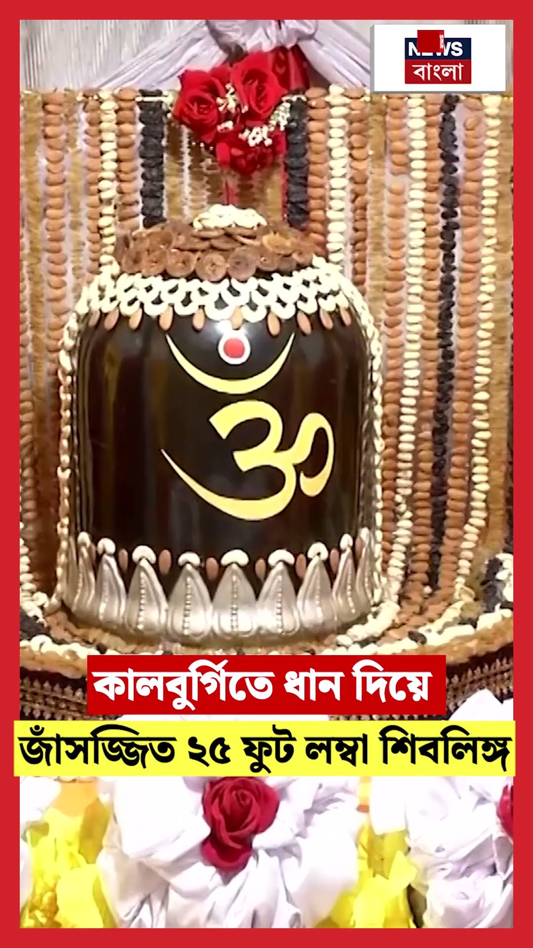 Kalaburagi তে ধান দিয়ে সজ্জিত ২৫ ফুট লম্বা Shiva Linga | #shorts