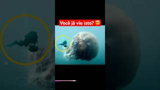 Coisas que são maiores do que você imagina! parte 1 #curiosidades #shorts