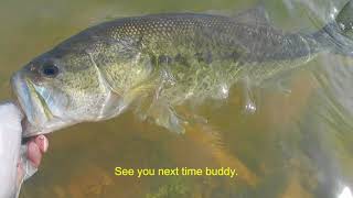 Pardee Lake Fast Beat Shore Bass Fishing ブラックバス釣り