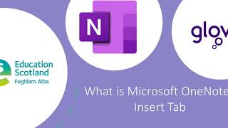 What is Microsoft OneNote Insert Tab
