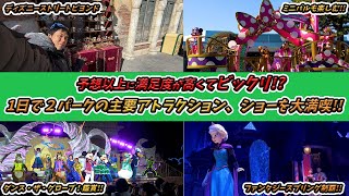 【正直レビュー】休日に初めてパークホッパー使ってミニパルとダンス・ザ・グローブ!と主要アトラクションを中心に楽しんでみた／東京ディズニーリゾート