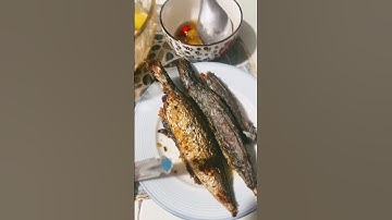 Bữa cơm bình dị canh chua + cá lóc kho tiêu và cá biển muối chiên siêu ngon