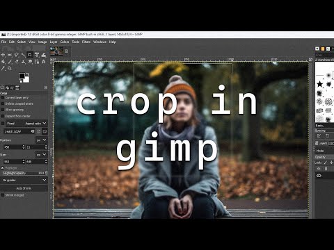 3 Easy Ways to Crop in GIMP on Windows 11 [Fast Guide]