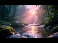 Calming brain music for night routine that restores inner harmony and improves sleep quality