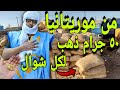 كنوز الذهب في صحراء موريتانيا لكن 
