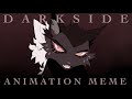 Neoni DARKSIDE Animation Meme