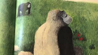 Ivan The Remarkable True Story of the Shopping Mall Gorilla by Katherine Applegate