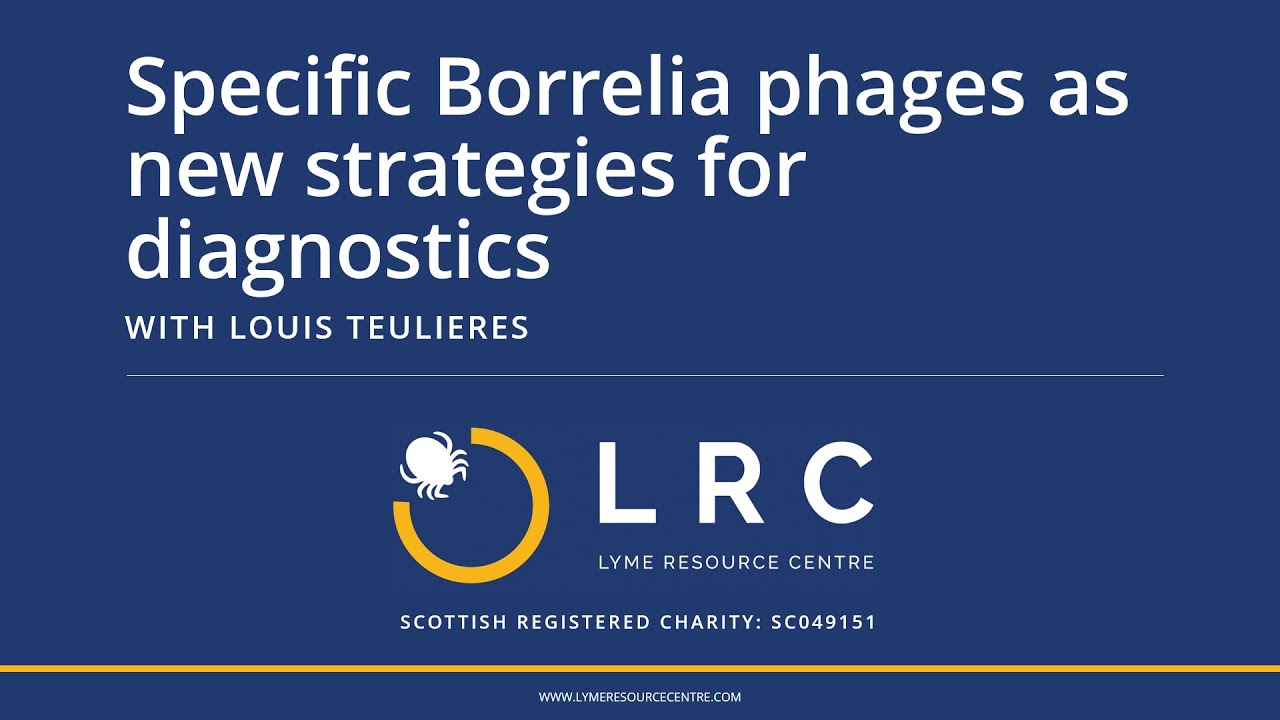 Specific Borrelia phages as new strategies for diagnostics