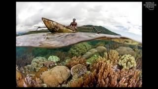 Worlds Underwater | Douglas McCauley
