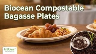 Biocean Compostable Bagasse Plates Made for Clean, Sustainable Food Service
