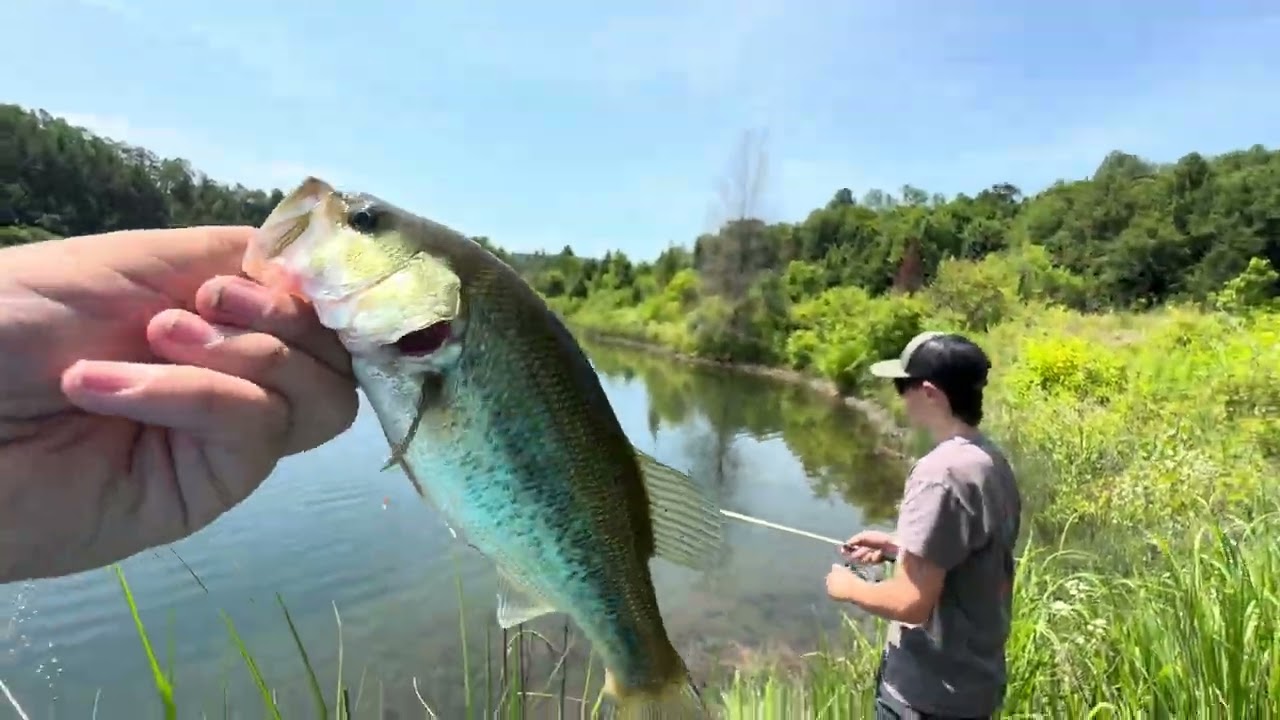 Bass fishing